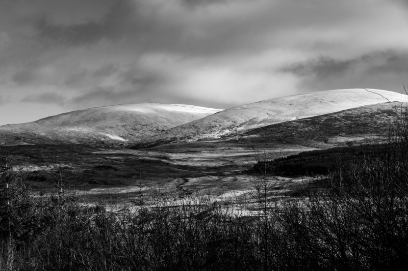 The-Hand-in-winter-18.01.24-3