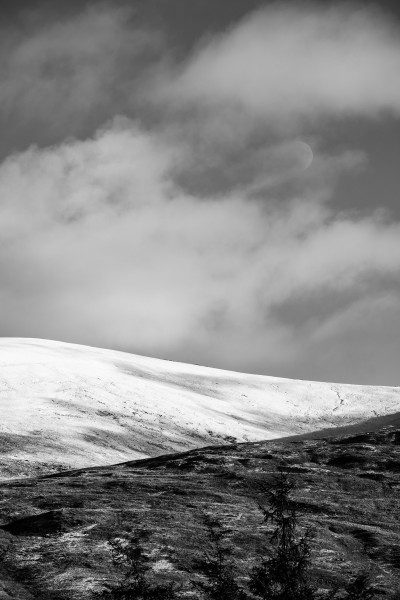 The-Hand-in-winter-18.01.24-5
